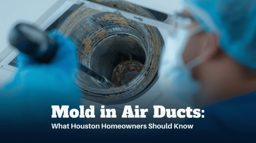 mold in air duct